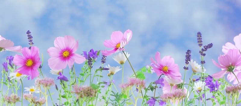 Fantasy Florals